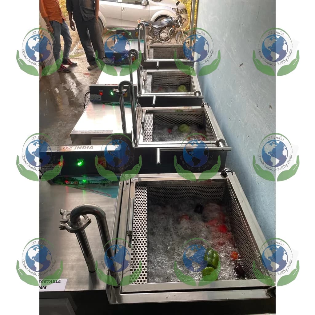 Ozone Fruit Vegetable Washing Machine by Ozone India Technology